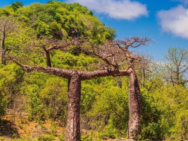 Madagascar Airtours - Site(2)